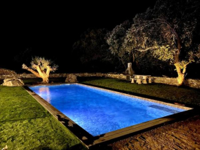 Villa avec piscine Locations I Tramizi Bonifacio